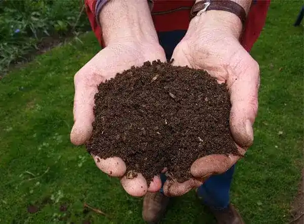 Vermicompost Grader