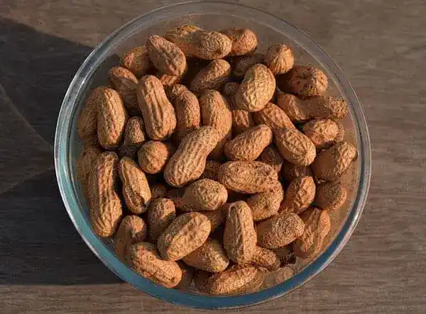 Groundnut Destoner